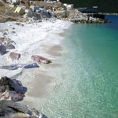 Mola *